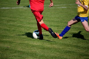 开云体育在线-“拳王争霸：四川省体育馆拳击赛将诞生新的世界拳王”