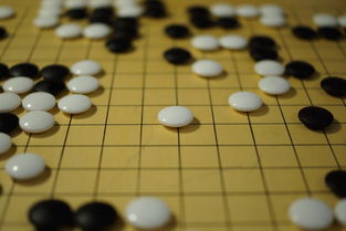 开云体育app入口-世界围棋赛青年选手战术成熟引热议，2020世界围棋