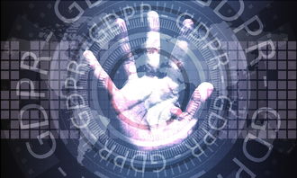 开云体育官网-体育新闻中心上线智能体育赛事数据可视化系统，智能体育运动平台