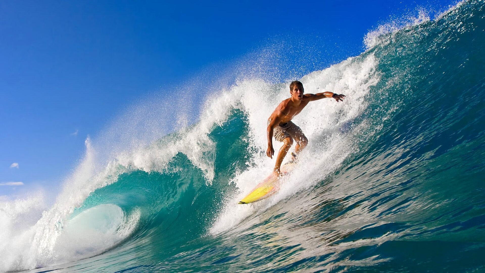 体育新闻中心优化体育赛事直播信号传输技术，体育直播信号源