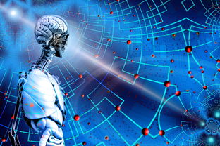 开云体育在线-体育新闻中心上线体育赛事数据可视化展示平台，体育新闻(全程回放)