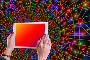 开云体育在线官网-体育新闻中心主办体育类数字创作者发展研讨会，体育产业数字化创新