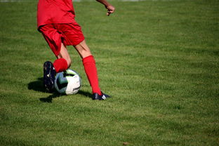 开云体育下载-体育新闻中心发布体育短视频内容运营新策略，体育短视频存在的问题