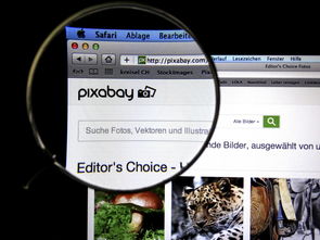 开云体育app-体育新闻中心发布体育短视频传播效果白皮书，体育短视频成为平台和用户的新宠