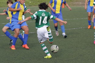 kaiyun开云体育-体育纪录片内容更加丰富，体育纪录片主题