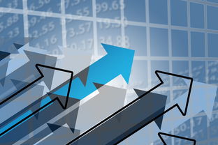 开云体育在线下载-转换进攻中最常见的防守错误类型，篮球转换进攻什么意思